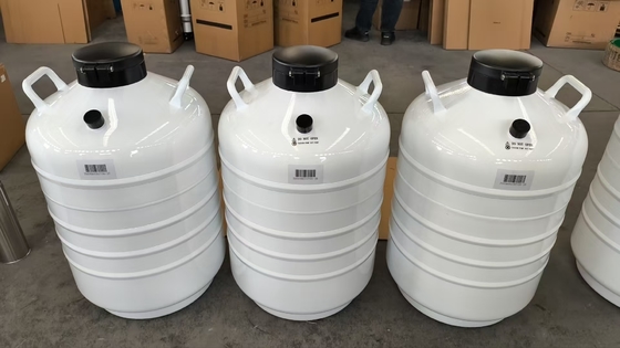 kwaliteit  Biological Sample Dry Shipper – Leak-Free Liquid Nitrogen Container fabriek