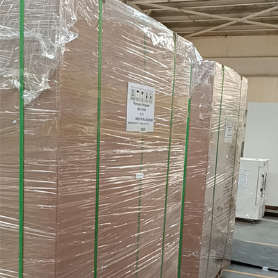 2 - 8 graad 656 liter Apotheek Medische koelkast Voor ziekenhuis