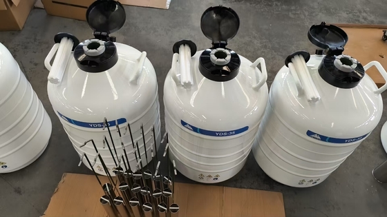 Vaporfase Droge Verzender – Vloeibare Stikstof Transportcontainer voor Laboratoriummonsters 35L