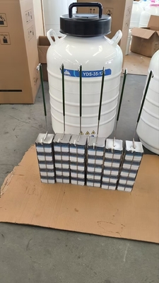 LN2 Dry Shipper voor dampfase