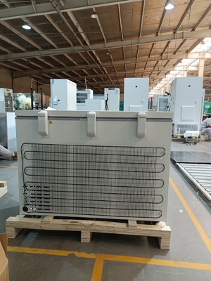 MDF-40H305 -40°C Biomedische koelkast 305L Grote capaciteit Medische diepvries voor virussen, bloed en laboratoriumopslag