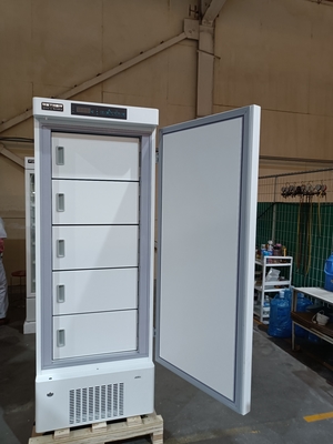 -40℃ Biomedische Diepvries | Verticale Medische Vriezer met 328L Capaciteit & 5 Binnendeuren