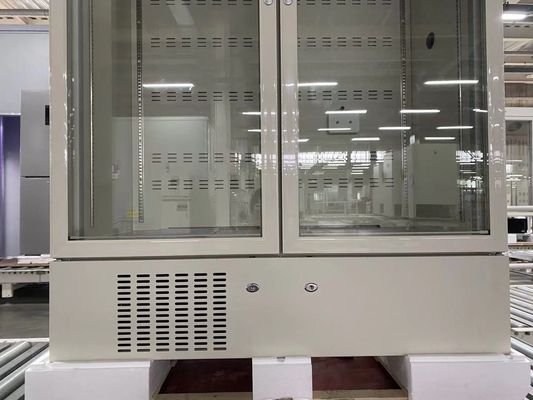 Hoog - de Deurapotheek van het kwaliteits Dubbele Glas en Laboratoriumijskast met de LEIDENE Binnenlandse Lichte Grootste Capaciteit van 656L